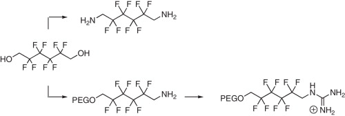 Synthesis of Fluorinated Amphiphile